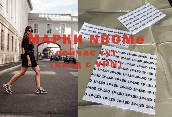прущие грибы Алексеевка