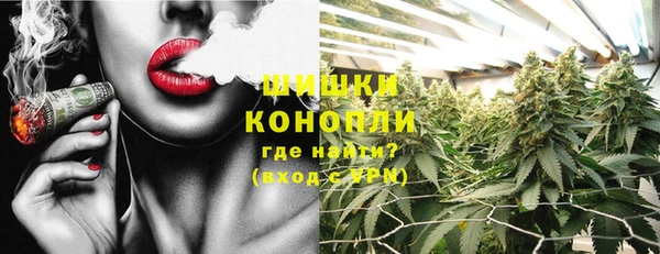 прущие грибы Алексеевка