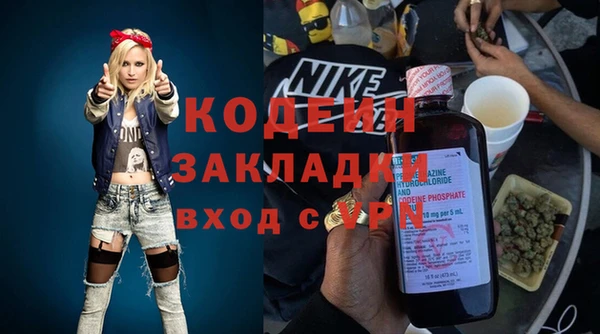 прущие грибы Алексеевка