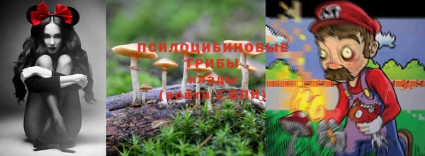 метадон Алексин