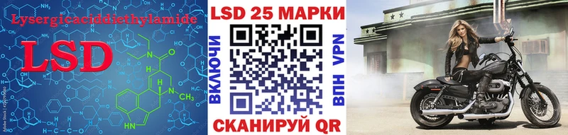 omg маркетплейс  Петровск-Забайкальский  LSD-25 экстази ecstasy 