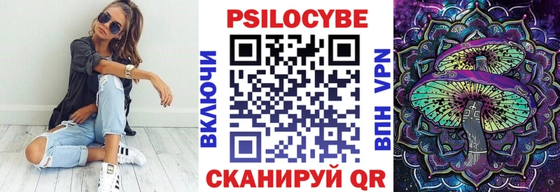 мориарти состав  Петровск-Забайкальский  Галлюциногенные грибы MAGIC MUSHROOMS  хочу наркоту  omg маркетплейс 